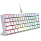 68-Key USB Wired Gaming Keyboard with 20 RGB Backlight Modes