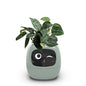 Ivy Smart Planter with AI and Rich Expressions