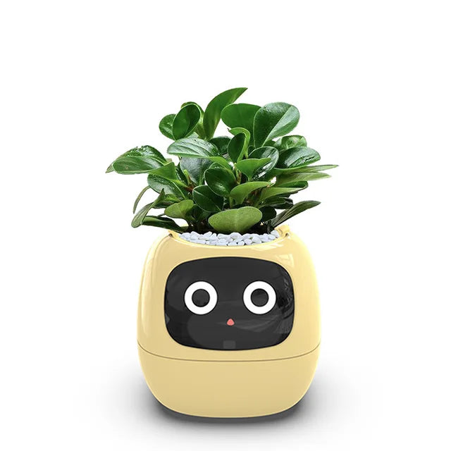 Ivy Smart Planter with AI and Rich Expressions