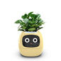 Ivy Smart Planter with AI and Rich Expressions