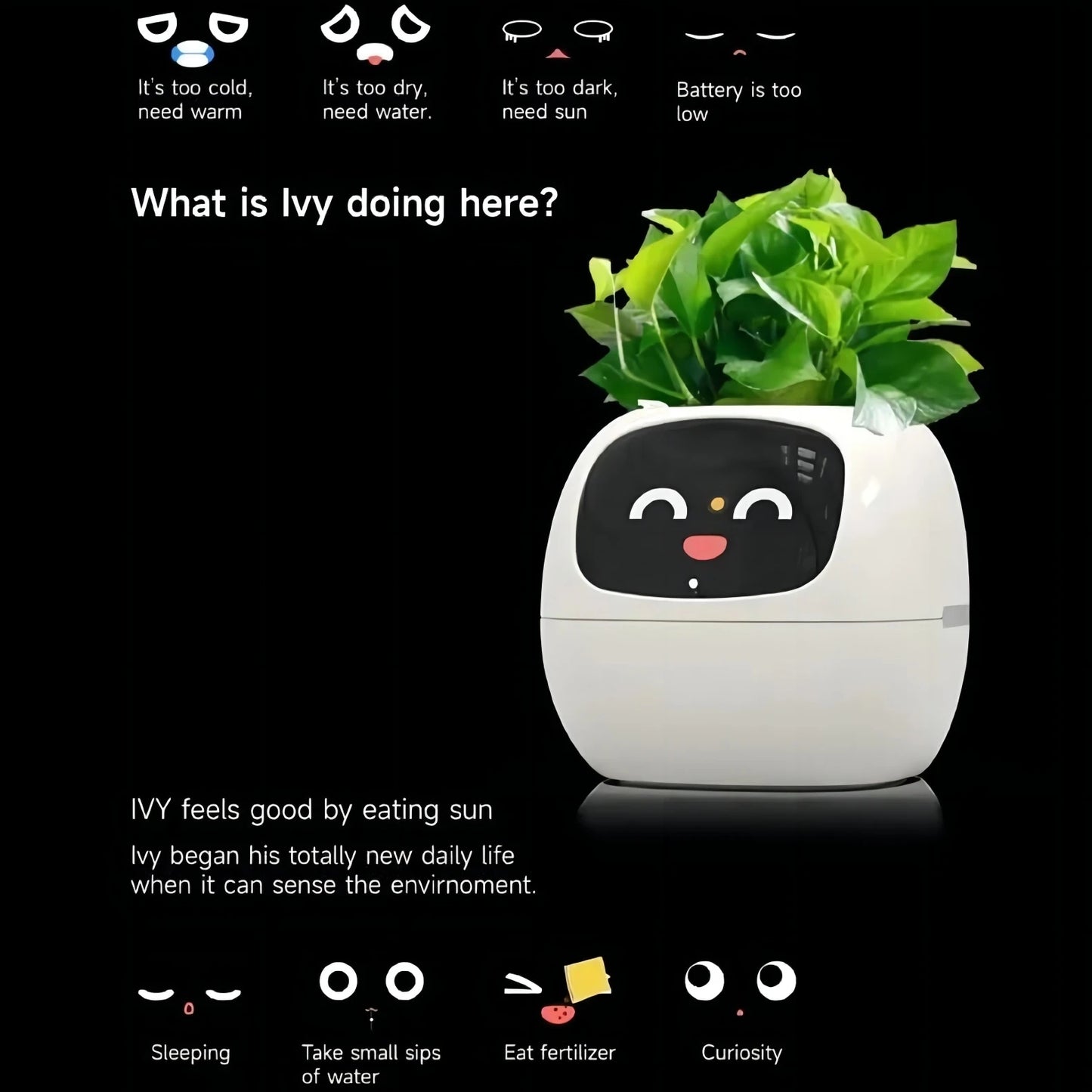 Ivy Smart Planter with AI and Rich Expressions