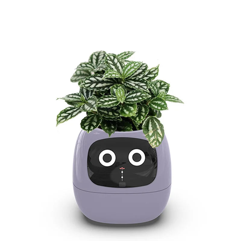 Ivy Smart Planter with AI and Rich Expressions