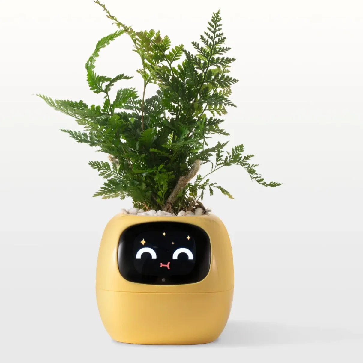 Ivy Smart Planter with AI and Rich Expressions